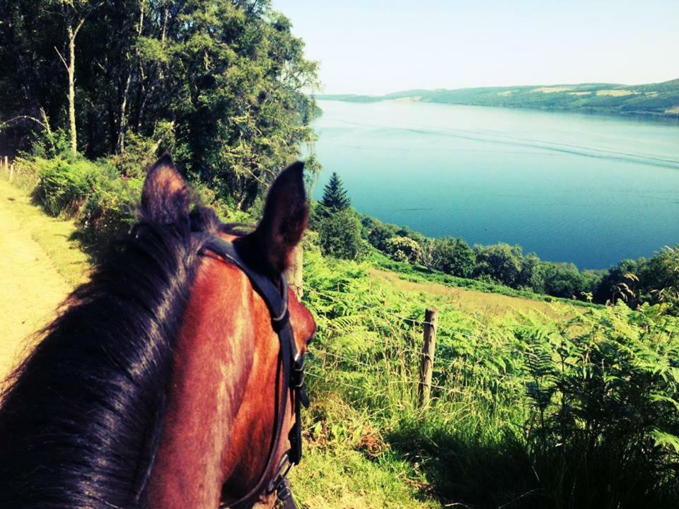 Loch Ness B And B Inverness Eksteriør bilde
