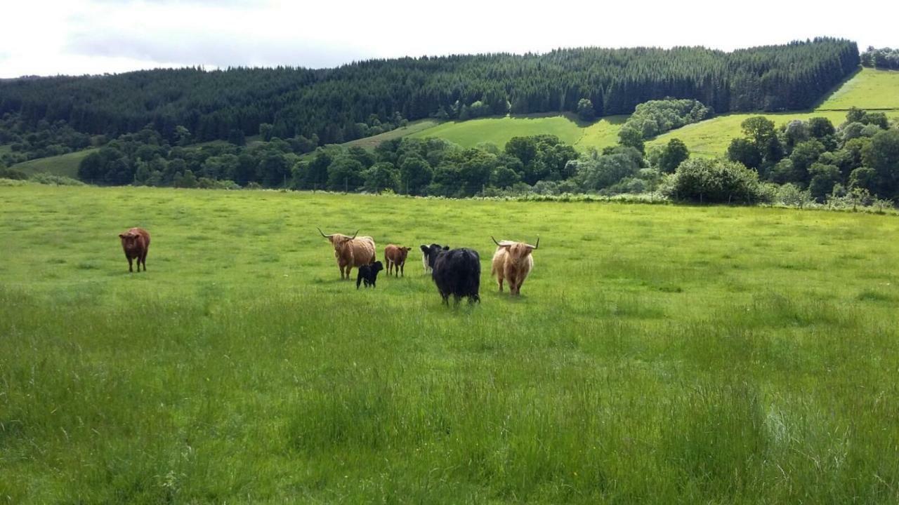 Loch Ness B And B Inverness Eksteriør bilde